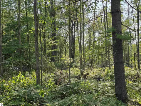 00 Arnold Rd, Manton, MI 49663 photo 41