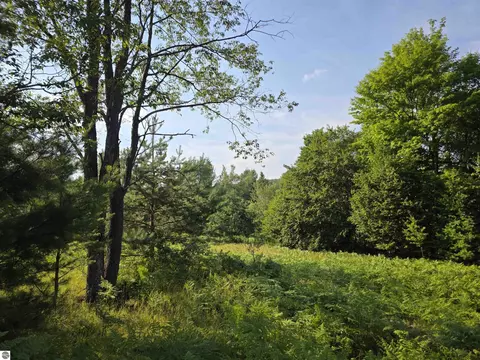 00 Arnold Rd, Manton, MI 49663 photo 25