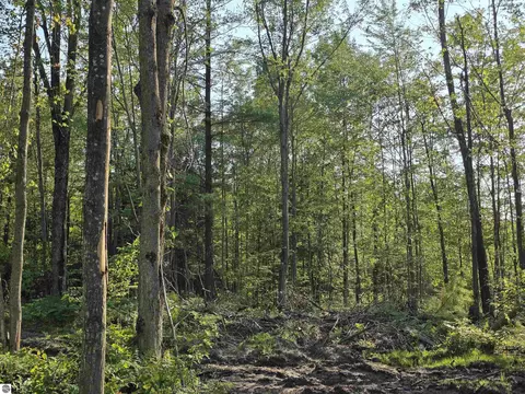00 Arnold Rd, Manton, MI 49663 photo 42