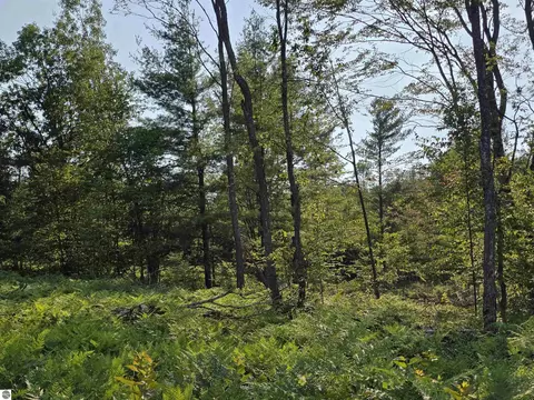 00 Arnold Rd, Manton, MI 49663 photo 33