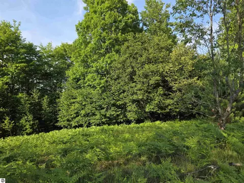 00 Arnold Rd, Manton, MI 49663 photo 24