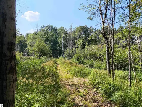 00 Arnold Rd, Manton, MI 49663 photo 12