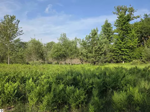 00 Arnold Rd, Manton, MI 49663 photo 30