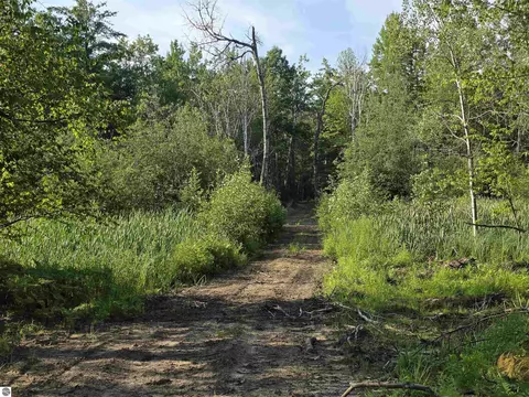 00 Arnold Rd, Manton, MI 49663 photo 44