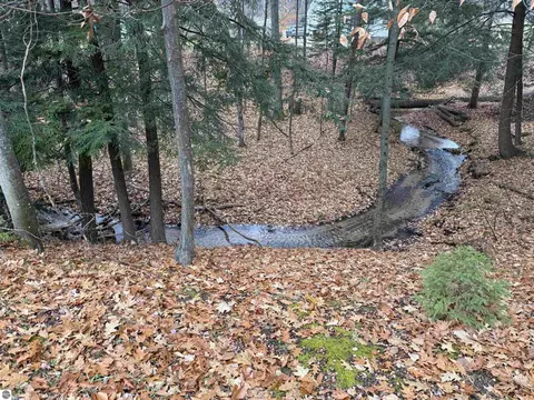 9544 W 34 Rd, Harrietta, MI 49638