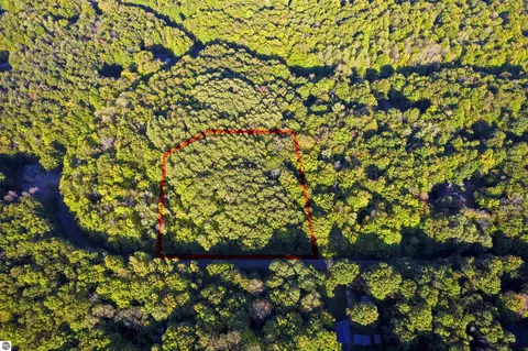 V/l Forestgrove Drive, Elmira, MI 49730