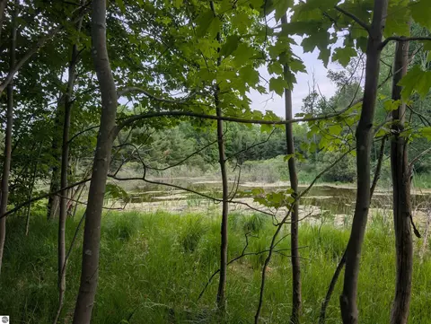 20047 Davis Lake Rd, Traverse City, MI 49684