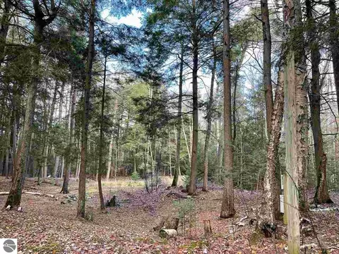 tbd E Side Dr, Beaver Island, MI 49782