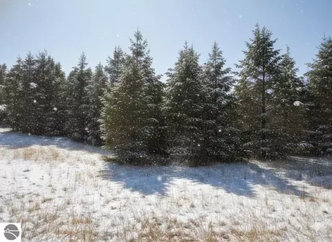 10 N 25 N 2 12 Rd, Buckley, MI 49620