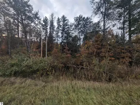 N/a E Huron, Omer, MI 48749 photo 5