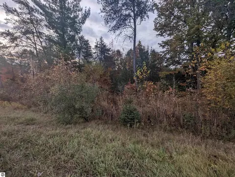 N/a E Huron, Omer, MI 48749 photo 2