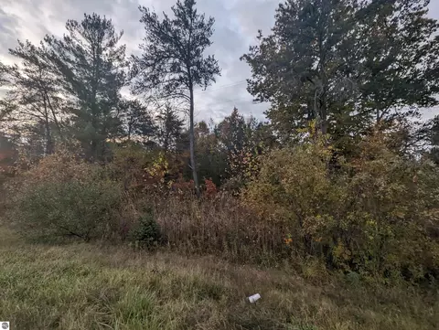 N/a E Huron, Omer, MI 48749 photo 3