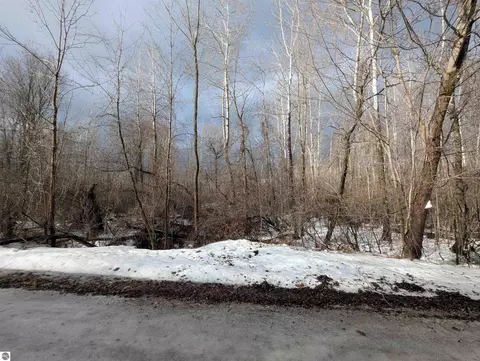 N/a Lehman Road, Twining, MI 48766 photo 9