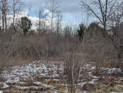 N/a Lehman Road, Twining, MI 48766 photo 11