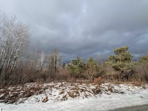 N/a Lehman Road, Twining, MI 48766 photo 6