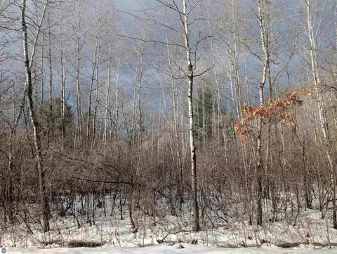 N/a Lehman Road, Twining, MI 48766 photo 8