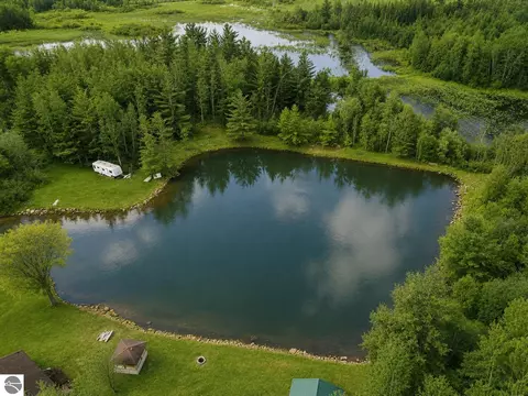 lot43 46 River Dr, Merritt, MI 49667