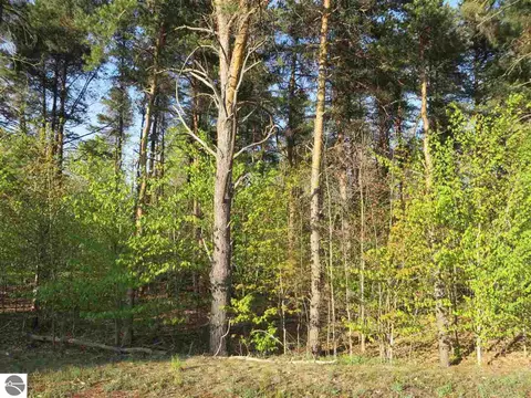 20 71 Spruce Hollow Trce, Fife Lake, MI 49633