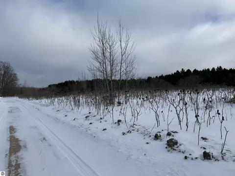 Vl W Houghton Lake Road, Lake City, MI 49651