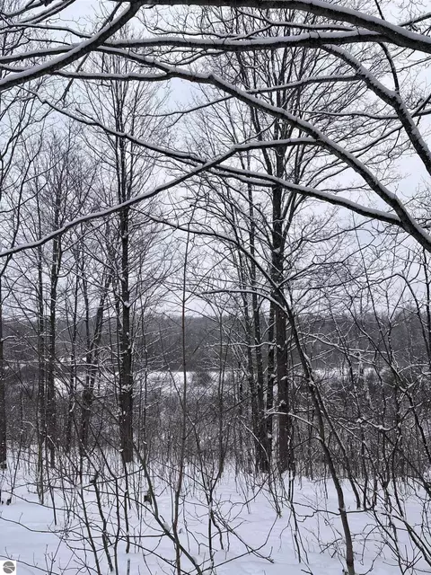 Vl 10 Lake Louise Road, Interlochen, MI 49643