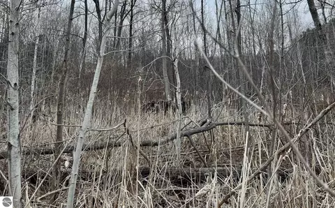00 E Hidden Beech Dr, Cedar, MI 49621 photo 10