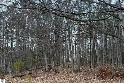 00 E Hidden Beech Dr, Cedar, MI 49621 photo 8