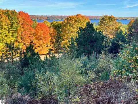 00 E Hidden Beech Dr, Cedar, MI 49621 photo 2