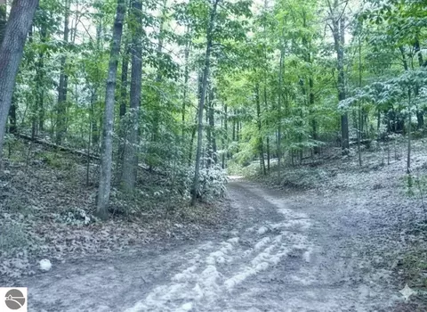 4181 Maple Hill Rd, Grawn, MI 49637 photo 9