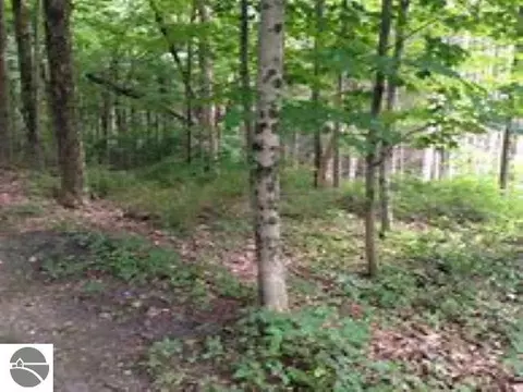 4181 Maple Hill Rd, Grawn, MI 49637 photo 4