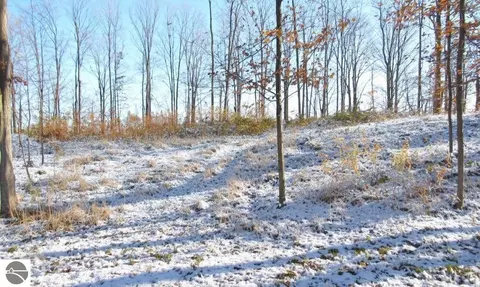 4181 Maple Hill Rd, Grawn, MI 49637 photo 20