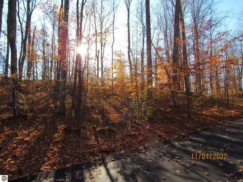 4181 Maple Hill Rd, Grawn, MI 49637 photo 8