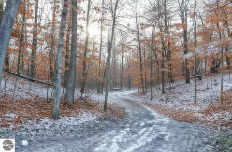 4181 Maple Hill Rd, Grawn, MI 49637 photo 11