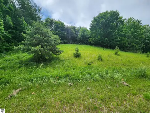 0000 Deer Ridge Trl, Beulah, MI 49617