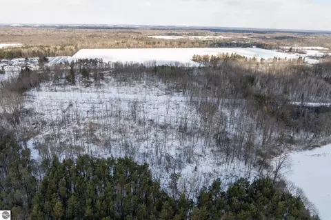 7258 E Pickard Rd, Mount Pleasant, MI 48858 photo 3
