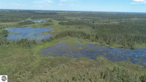 320 Acres Aho Rd, Rudyard, MI 49780
