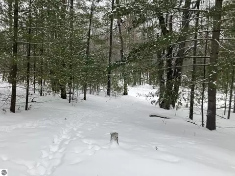 Vl Wilderness Circle, Alger, MI 48610