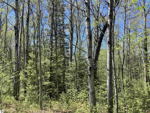 00 W Miller Rd, Mio, MI 49647