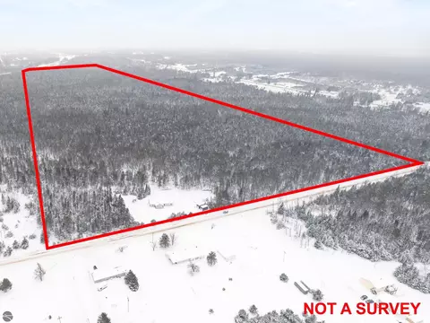Other - 433 Alexander Rd, Vanderbilt, MI 49795 photo 3 of 17