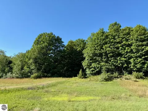 00 Alden Meadows Dr, Alden, MI 49612