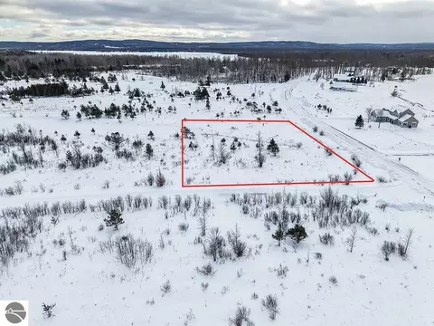 6412 Lora Bette Dr, Alanson, MI 49706 photo 1