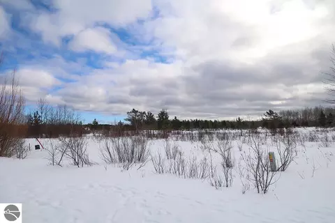 6436 Lora Bette Dr, Alanson, MI 49706 photo 2