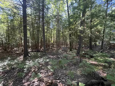 4715 Springbrook Dr, Williamsburg, MI 49690 photo 6