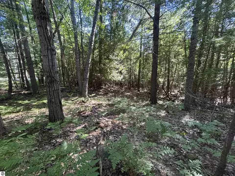 4715 Springbrook Dr, Williamsburg, MI 49690 photo 18