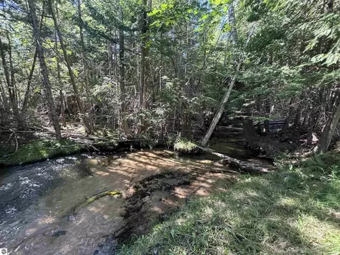 4715 Springbrook Dr, Williamsburg, MI 49690 photo 4