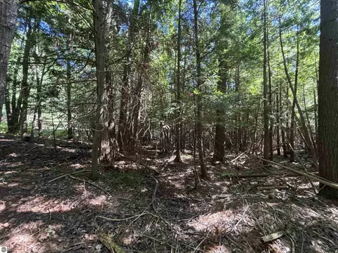 4715 Springbrook Dr, Williamsburg, MI 49690 photo 13