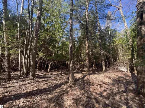 4715 Springbrook Dr, Williamsburg, MI 49690 photo 5