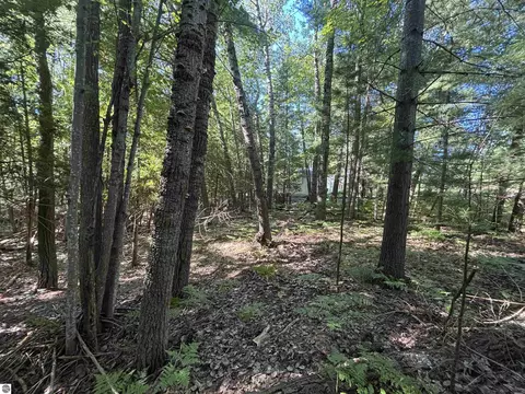 4715 Springbrook Dr, Williamsburg, MI 49690 photo 12