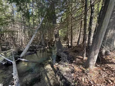 4715 Springbrook Dr, Williamsburg, MI 49690 photo 6