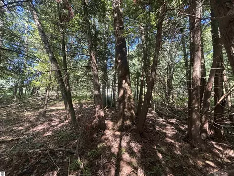 4715 Springbrook Dr, Williamsburg, MI 49690 photo 14
