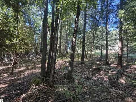 4715 Springbrook Dr, Williamsburg, MI 49690 photo 17